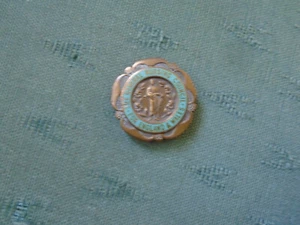 1956 GENERAL NURSING COUNCIL FOR ENGLAND & WALES ENAMEL BADGE - MORTIMER - Picture 1 of 2