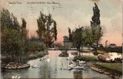 Vintage Postcard View of Swans in Alameda Park Alamogordo New Mexico       20554 - Image 1 of 2