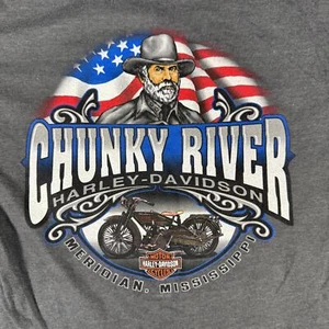 Harley-Davidson Chunky River Road Hog T-Shirt Small Gray USA Flag Vintage Style - Picture 1 of 8