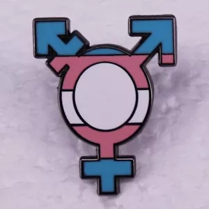 Transgender Trans Symbol Androgyne Male Mars Female Venus Pride Flag LGBTQ Pin - Picture 1 of 4