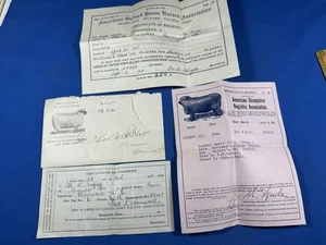 1910 Paper Lot SHROPSHIRE SHEEP ~ Sold, Transfer, American Oxford Down Assoc. - Picture 1 of 13