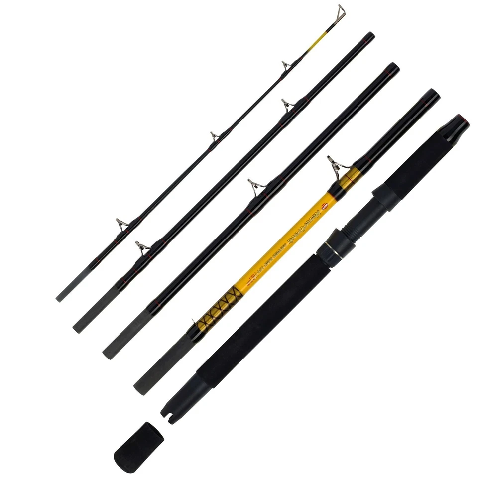 WFT Never Crack Catfish Boat LTC 2,60m 200-1000g 5 Teile Welsrute Reiserute - Bild 1 von 1