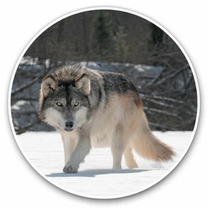 2 x Vinyl Stickers 20cm - Awesome Wild Wolf in Snow Cool Gift #13159 - Picture 1 of 9