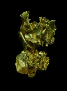 16.53 mm RARE CRYSTAL LEAF GOLD GEORGETOWN QLD AUSTRALIA 1A - Picture 1 of 4