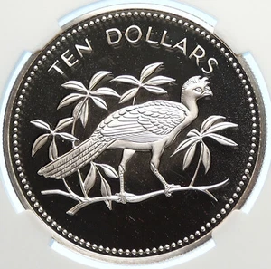 1977 BELIZE Avifauna Great Curassow BIRD Old Proof Silver $10 Coin NGC i106352 - Picture 1 of 5