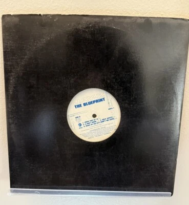 JAY-Z "THE BLUEPRINT" 2001  VINYL LP PROMO CLEAN HIP HOP DEFF 15420-1 Foto 1 de 4
