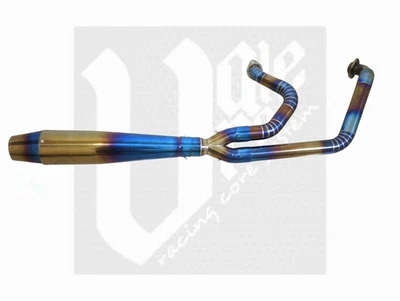 Escape personalizado 2-1 modelos aptos para Harley Davidson Sportster 883, XL 1200, 48 Foto 1 de 4