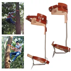 Juego de espigas de escalada de árboles ajustables espuelas de escalada de poste herramienta correa de escalador gaffs - Imagen 1 de 11