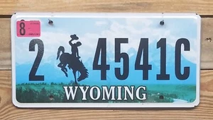 Placa base Teton Ridge 2015 de Wyoming expiró ~ 2 4541C ~ plana - Imagen 1 de 1