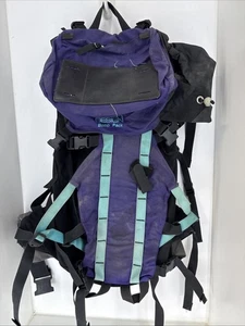 DANA DESIGN Bomb Pack daypack Purple x Turquoise, Large - Picture 1 of 4