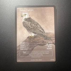 Saker Falcon Full Art #47/130 LIFE TCG Birds- Only 2,000 printed - Picture 1 of 2