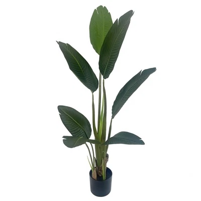 Traveller Banana Palm Tree UV  120cm UV OUTDOOR - Image 1 of 4