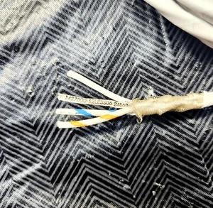 M27500-12LE3S06 Mil-Spec 12 AWG 3 Zustand, geschirmt, versilbert, Litze 5 Fuß - Bild 1 von 2