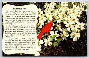 Postal Leyenda del Dogwood con recuerdo cardinal Dexter Press sin publicar - Imagen 1 de 2