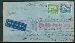 Bolivien Einschreiben Luftpost Brief nach Cina, Vogel - Bild 1 von 2