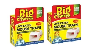 2 X The Big Cheese Live Catch Mouse Trap - 2 Pack- FREE SHIPMENT AUSTRALIA WIDE - Picture 1 of 4