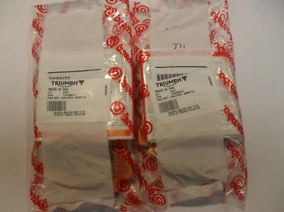 ПОДЛИННЫЙ TRIUMPH SCRAMBLER 1200 XE / XC TIGER 1200 TIGER 900 ПЕРЕДНИЕ ТОРМОЗНЫЕ КОЛОДКИ КОМПЛЕКТ - Изображение 1 из 3