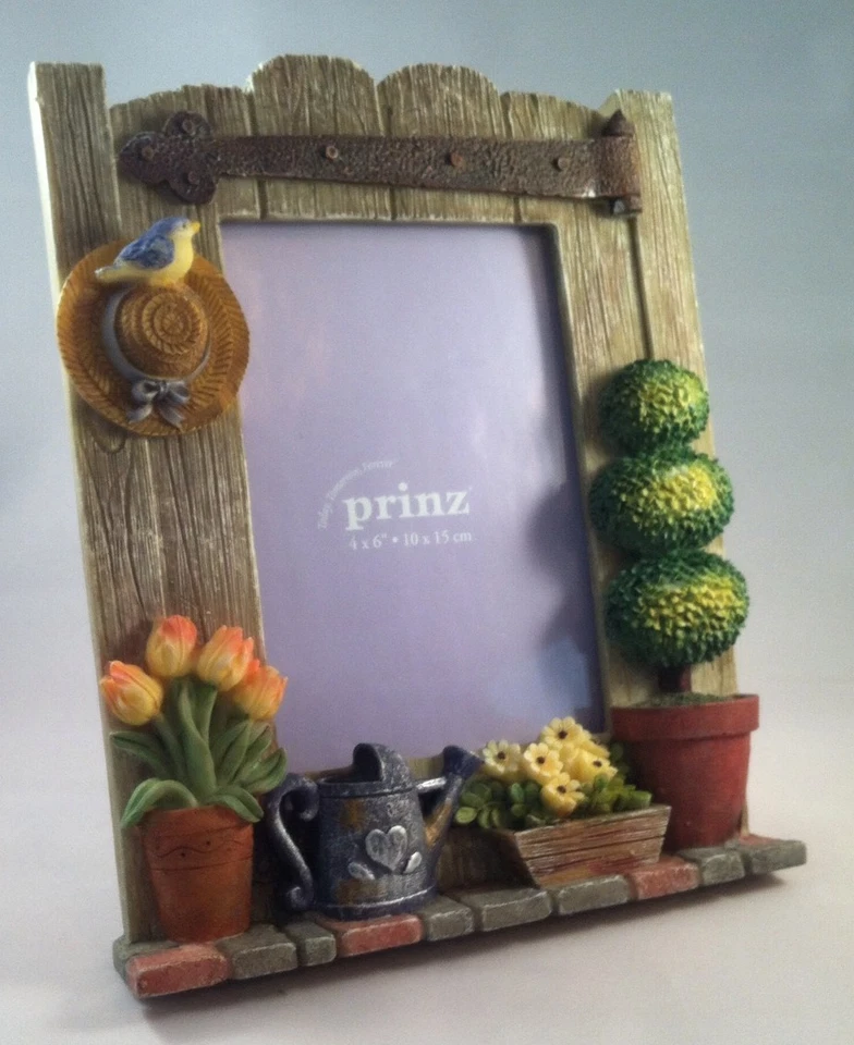 Marco de imagen con vistas de viñeta 3D muy elegante 4"x6" nuevo en caja. Prinz Foto 1 de 4