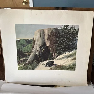Impresión litográfica vintage Stan Galli “Black Bear Mother & Cubs” - arte de vida silvestre - Imagen 1 de 1