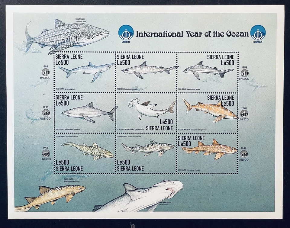 SIERRA LEONA INT AÑO DEL OCÉANO TIBURONES SELLOS 1999 MNH VIDA MARINA UNESCO 1 Foto 1 de 1