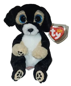 Ty Beanie Baby Bellies - RANGER the Dog (6 Inch) NEW MWMTs Stuffed Animal Toy - Picture 1 of 7