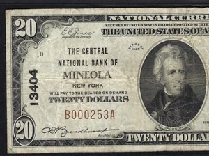 NY 1929 $20 ♚♚ MINEOLA, NEW YORK♚♚   PMG VF20  HARD TO FIND - Picture 1 of 3