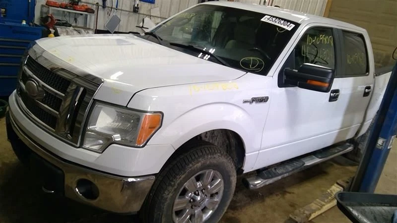 Cinturón de seguridad banco delantero 40/20/40 pasajero compatible con camioneta Ford F150 09-14 10278495 Foto 1 de 4