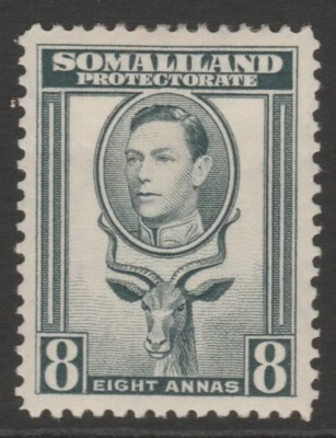British Somaliland MINT GVI 1938 8a grey sg99 - Image 1 of 2