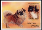 TIBETAN SPANIEL Dog Postage Stamp Souvenir Mini Sheet GUYANA - 1997 Mint MNH