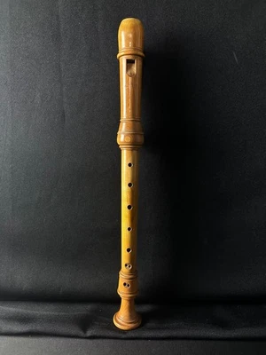 Ariel Soprano Wood Recorder w/ Carrying Case - Image 1 of 4