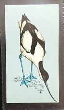 TETLEY (TEA CARD)-BRITISH BIRDS 1970-#33-AVOCET