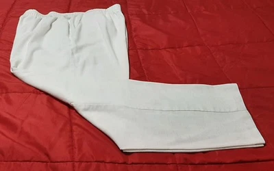 Vintage Briggs New York Light Beige Linen Look Pull On Slacks Size 18 - Image 1 of 4