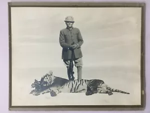 India Vintage Shikar Fotografía MAHARAJA TIGRE 11,50 pulgadas x 8,50 pulgadas - Imagen 1 de 5