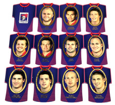 2007 SELECT NRL INVINCIBLE CARD JERSEY DIE CUT PARALLEL TEAM SET(12)-KNIGHTS