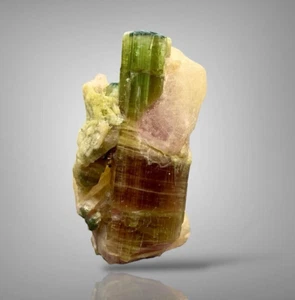 26GM | Mazzo di Cristalli di Tormalina A+++Bi-Color con Esemplare di Cleavlandite | AFG - Foto 1 di 12