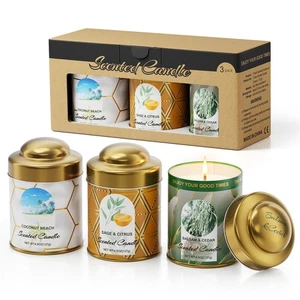 3-Pack Aromatherapy Candle Set - Scented Candles | 4.5oz × 3 | 75+ Hour Total... - Bild 1 von 7