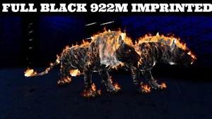 ARK Survival Ascended PvE PC/XBOX/PS5 Top Stats Pyromane (lion) Most Black 922m - Bild 1 von 21