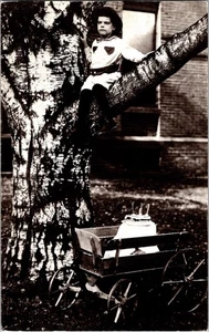 Boy In Tree Birthday Cake RPPC Reprint Continental Postcard CB12 - Picture 1 of 2