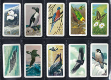 BROOKE BOND (CANADA) - NORTH AMERICAN WILDLIFE IN DANGER - FULL SET OF 48 CARDS