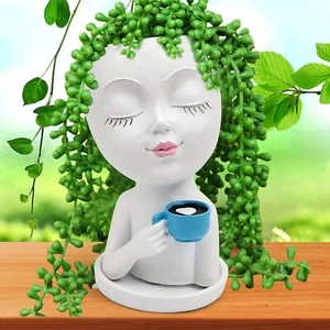 Face Flower Pots Head Planter, Cute Vase Succulents White - Picture 1 of 8