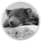 2 x Vinyl Stickers 15cm (bw) - Sleepy Tasmanian Devil Animal  #38148