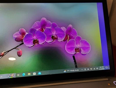 Toshiba Kirabook Ultrabook i5-4200U 8 GB RAM 238 GB SSD - Win 10 Pro Foto 1 de 4