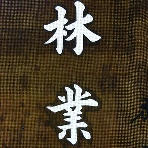 Japanese Katagami Kimono Stencil Katazome Vtg Kanji Ringyo Imasu KK90 - Picture 1 of 7