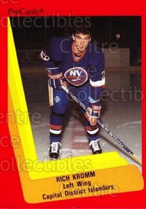 1990-91 ProCards AHL IHL #498 Richard Kromm