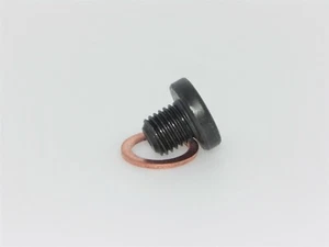 M10 x 1mm Sensor Blanking Bolt Plug Carbon Steel with Copper Washer - Picture 1 of 4