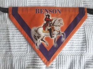 Personalised orange lol sash Ulster dog bandana King Billy 1690 - Picture 1 of 13