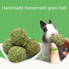 Pet Grass Ball Hamster Kaninchen kauen Spielzeug Calendula Aromen Molaren  Neu