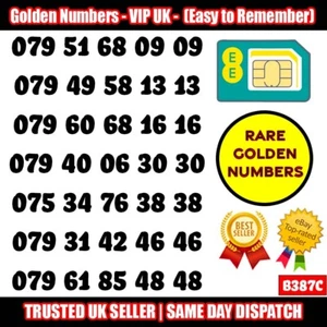 GOLD EASY MOBILE NUMBER MEMORABLE PLATINUM VIP UK PAY AS YOU GO SIM LOT - B387C