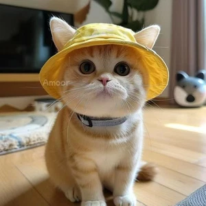 Pet Bucket Hat for Cats & Dogs - Bestseller, Sun Protection, Ear-Friendly Design - Picture 1 of 23