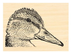 P126 Duck rubber stamp - Picture 1 of 1